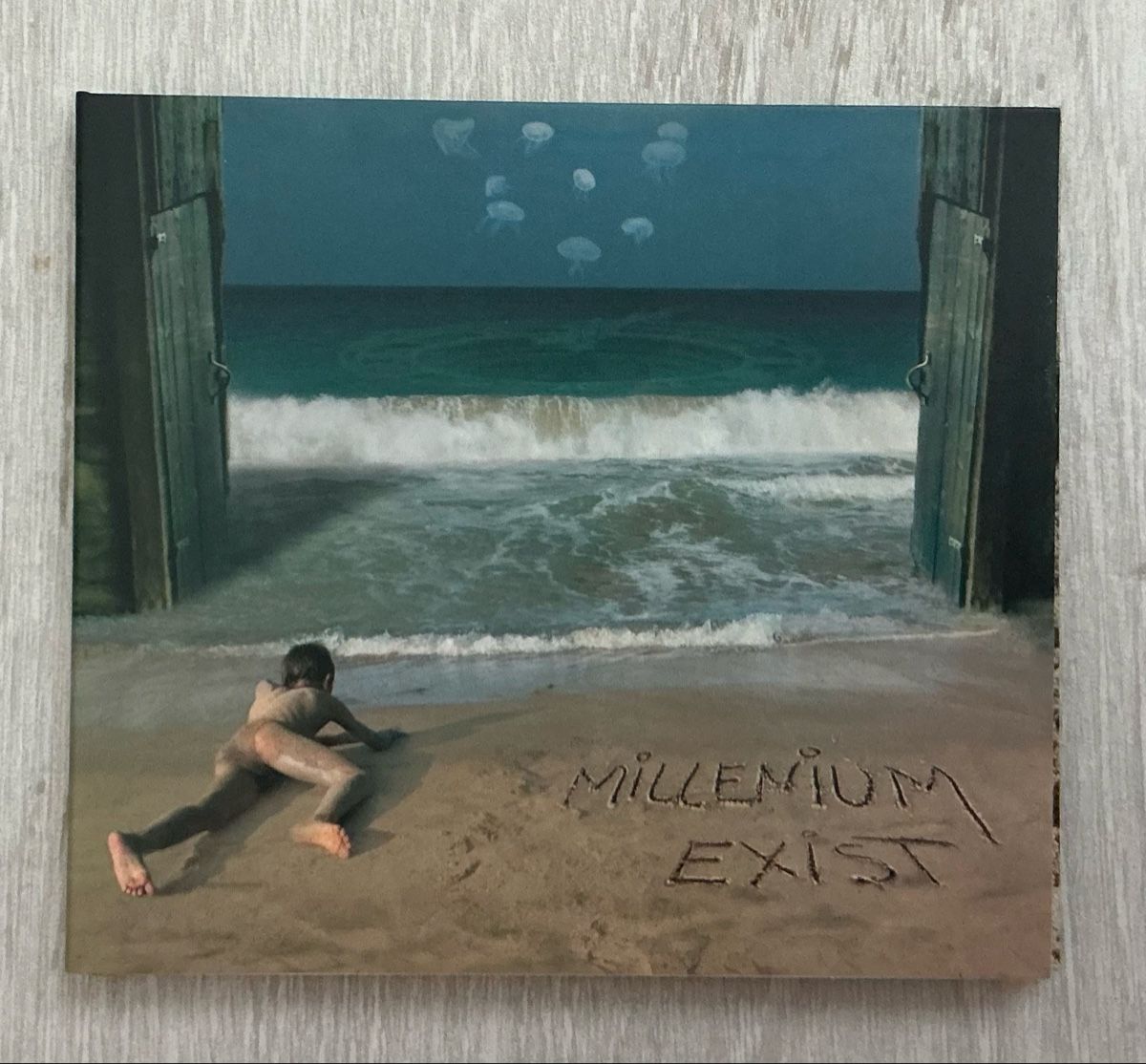 CD: Progressive Rock — MILLENNIUM CD – Usato da Arcegno venduto da Denni