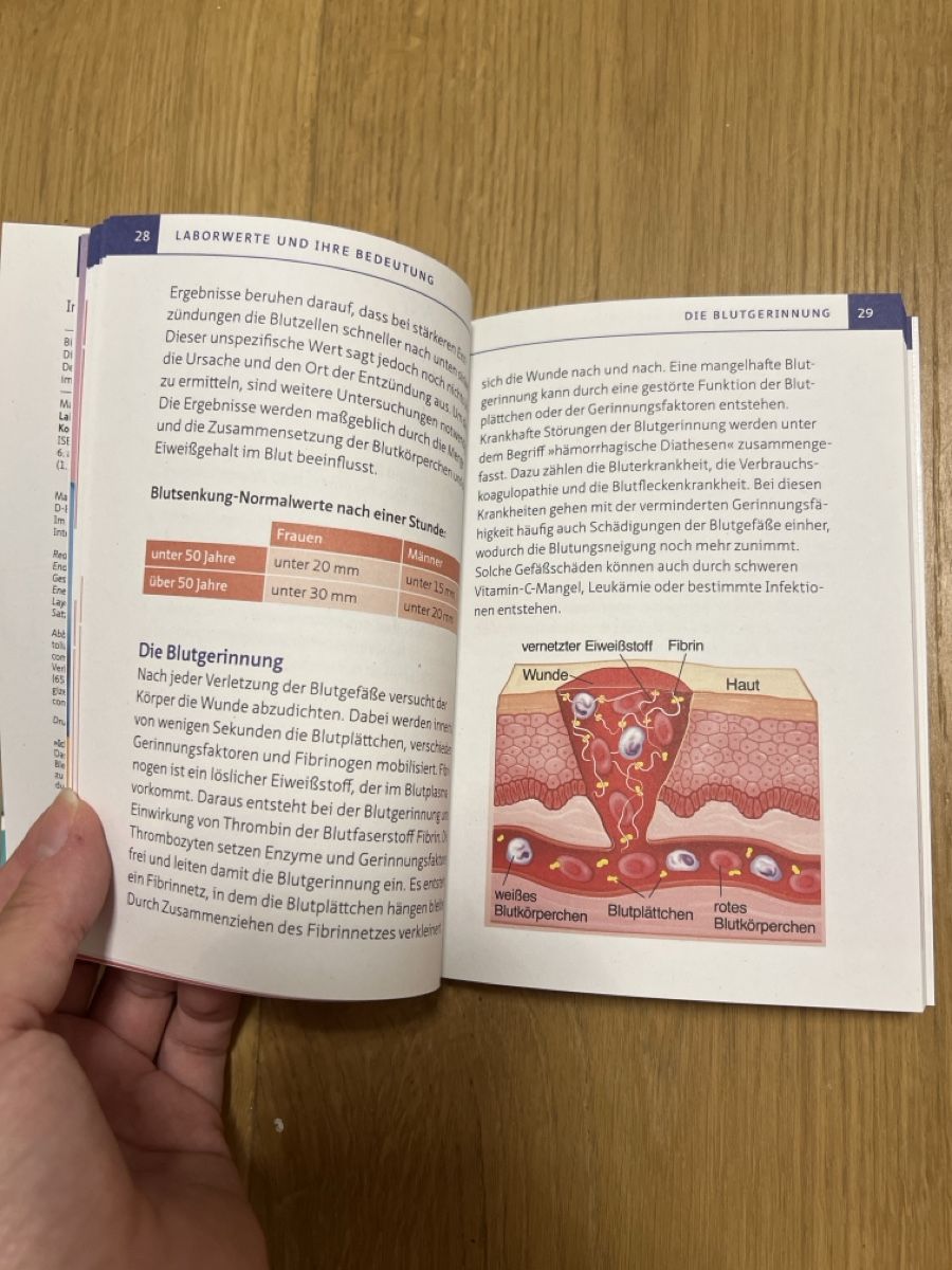 Libri: Buch Laborwerte verstehen – Nuovo (secondo la descrizione) da Ebikon venduto da Angelheart1000 2