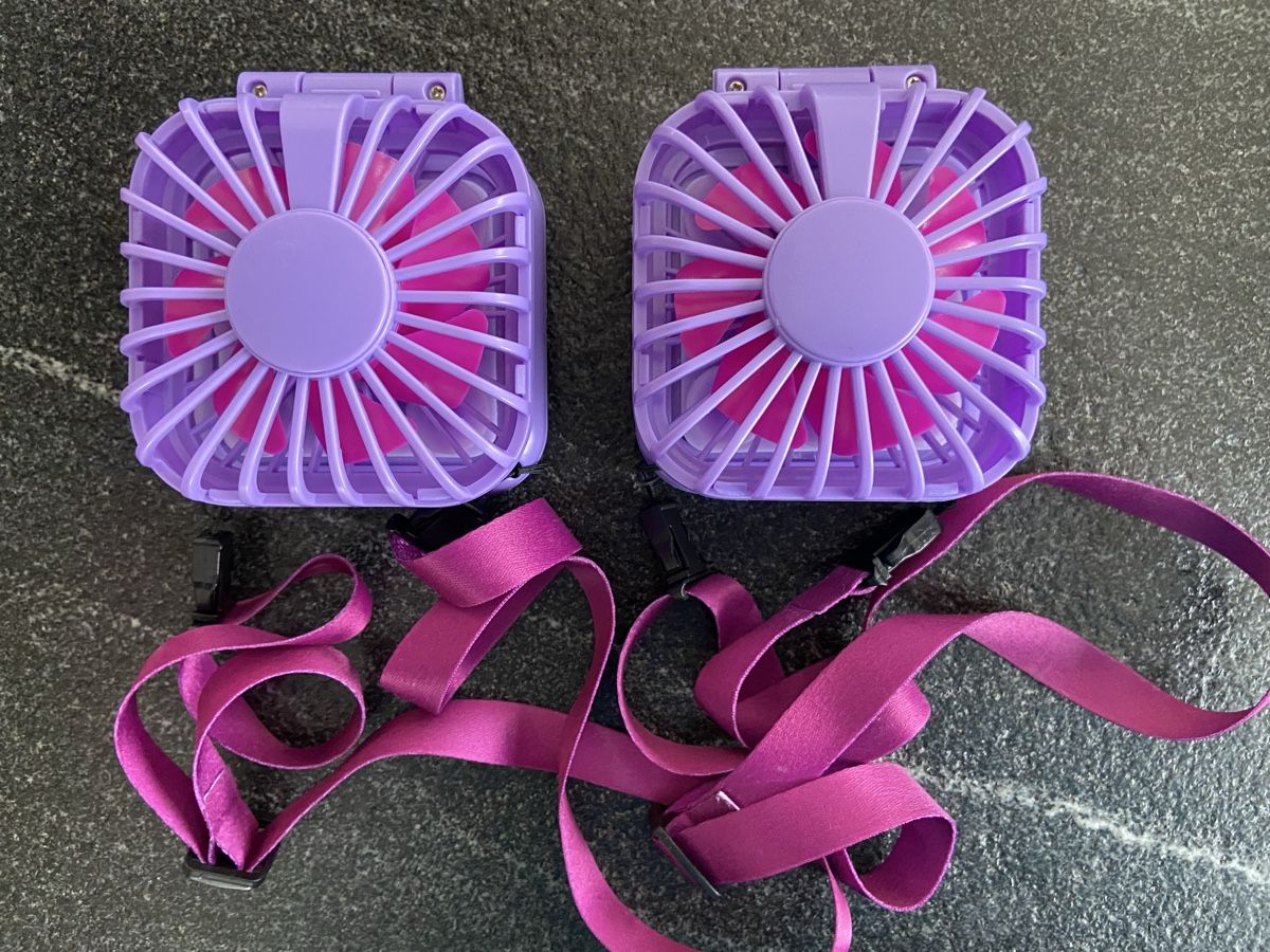 Ventilatori: 2x Mini Ventilatoren mit Akku/Ladekabel – Usato da Schwarzenburg venduto da Aha016