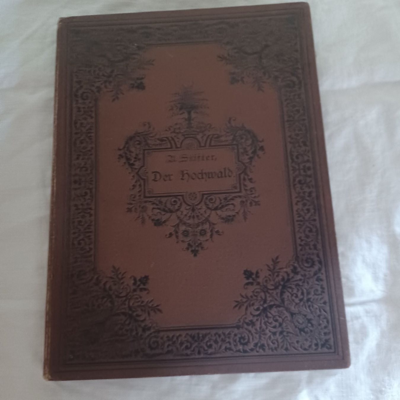 Livres: Buch derHochwald Leibzig1882 – D'occasion à Abtwil SG par luupsy