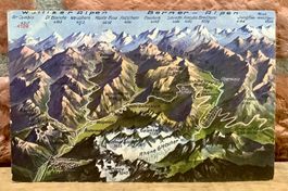 Relief Ansicht WALLISER & BERNER ALPEN Rhonetal & Gletscher