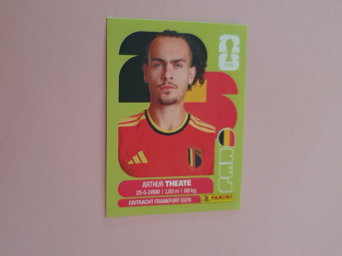 Panini Carte collezionabili: Panini WM 2026 - BEL 3 – Usato da Beromünster venduto da boeggy