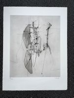 Original Radierung von OSCAR WIGGLI   (ID B5682)
