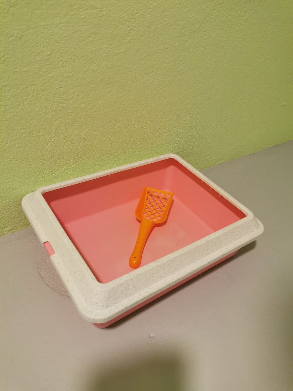 WC: Katzen Toilette mit Schaufel – Usato da Luzern venduto da elmapi 2
