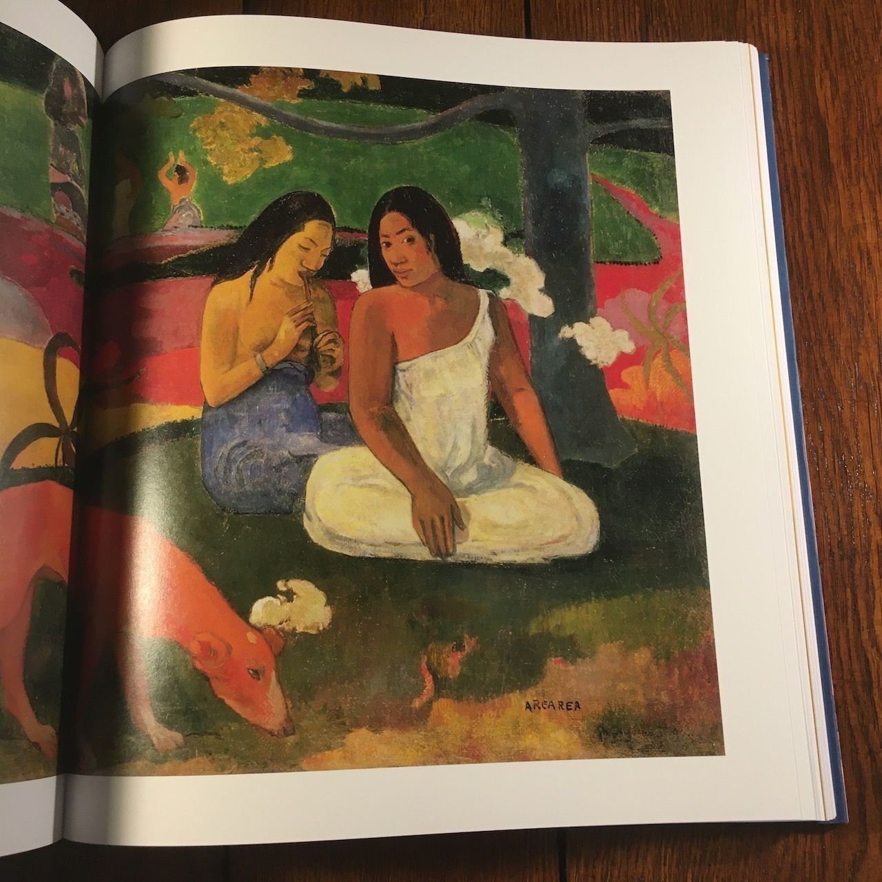 Libri: Fondation Beyler - Paul Gauguin – Usato da Basel venduto da Chamisso 4