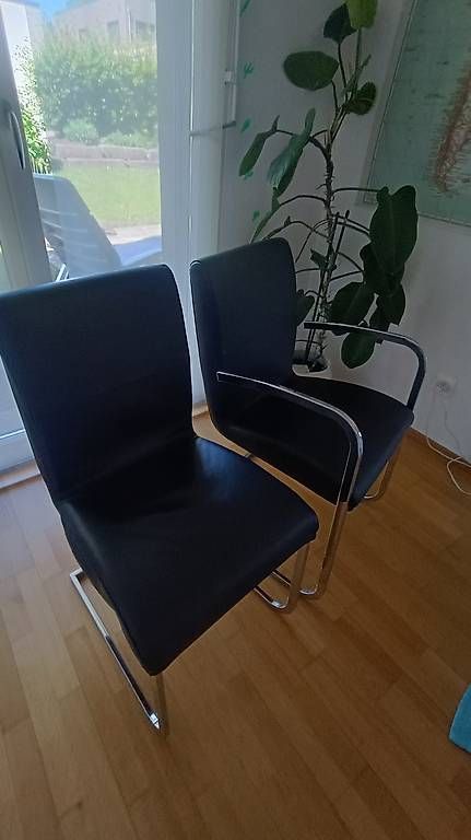 Sedie: Freischwinger-Stuhl - Leder - in Schwarz – Usato da Willisau venduto da mustanggti81