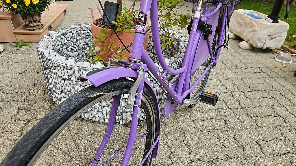 Biciclette: Vintage Fahrrad violet – Usato da Ittigen venduto da Auderset 1