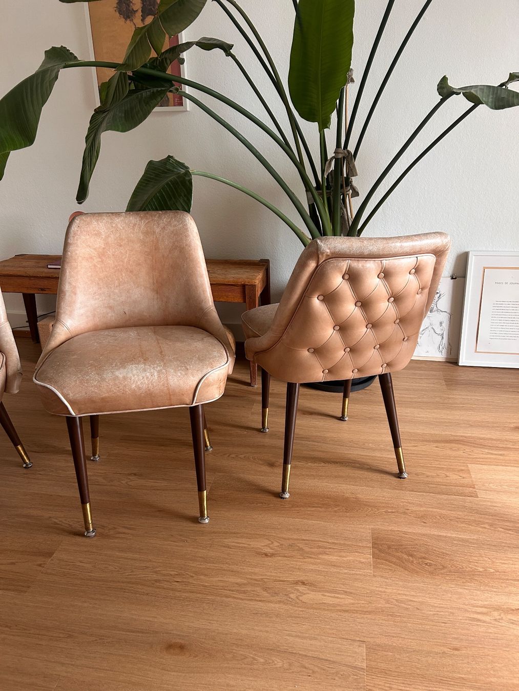 Sedie: 4 Lederstühle beige – Usato da Zürich venduto da schokomousse 3