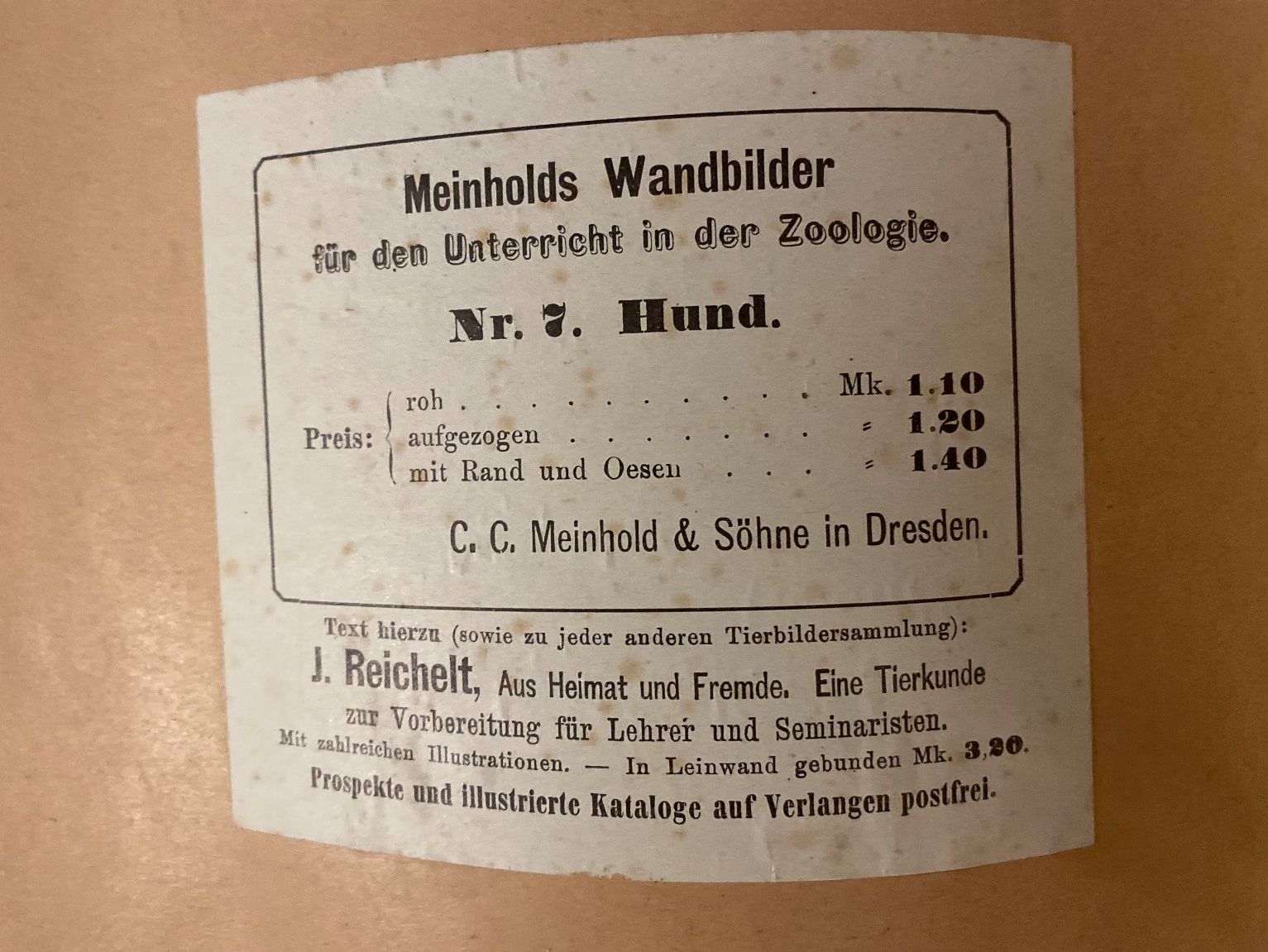 Foto & Immagini: Schulwandbild Lerntafel Hund – Usato da Solothurn venduto da BORGHAGEN 1