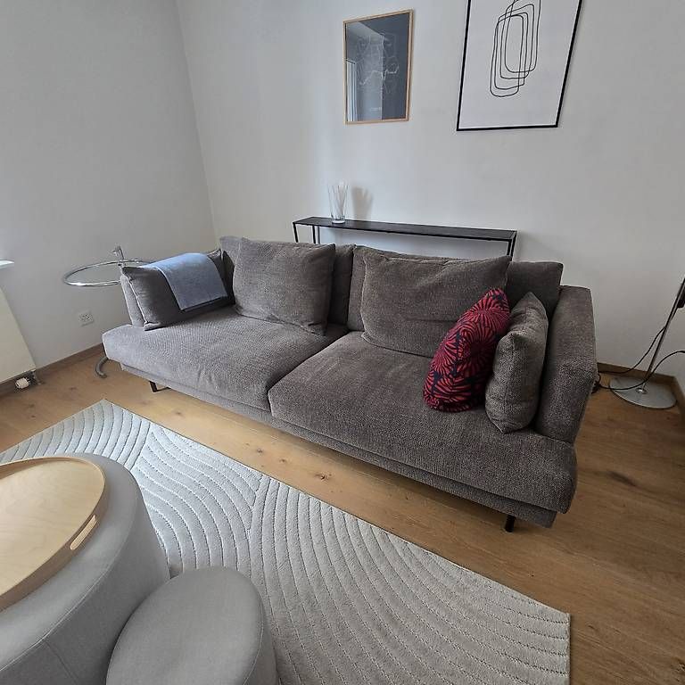 Divani: Design Sofa 3 Sitzer Stoff grau – Usato da Zürich venduto da leara.milani 1