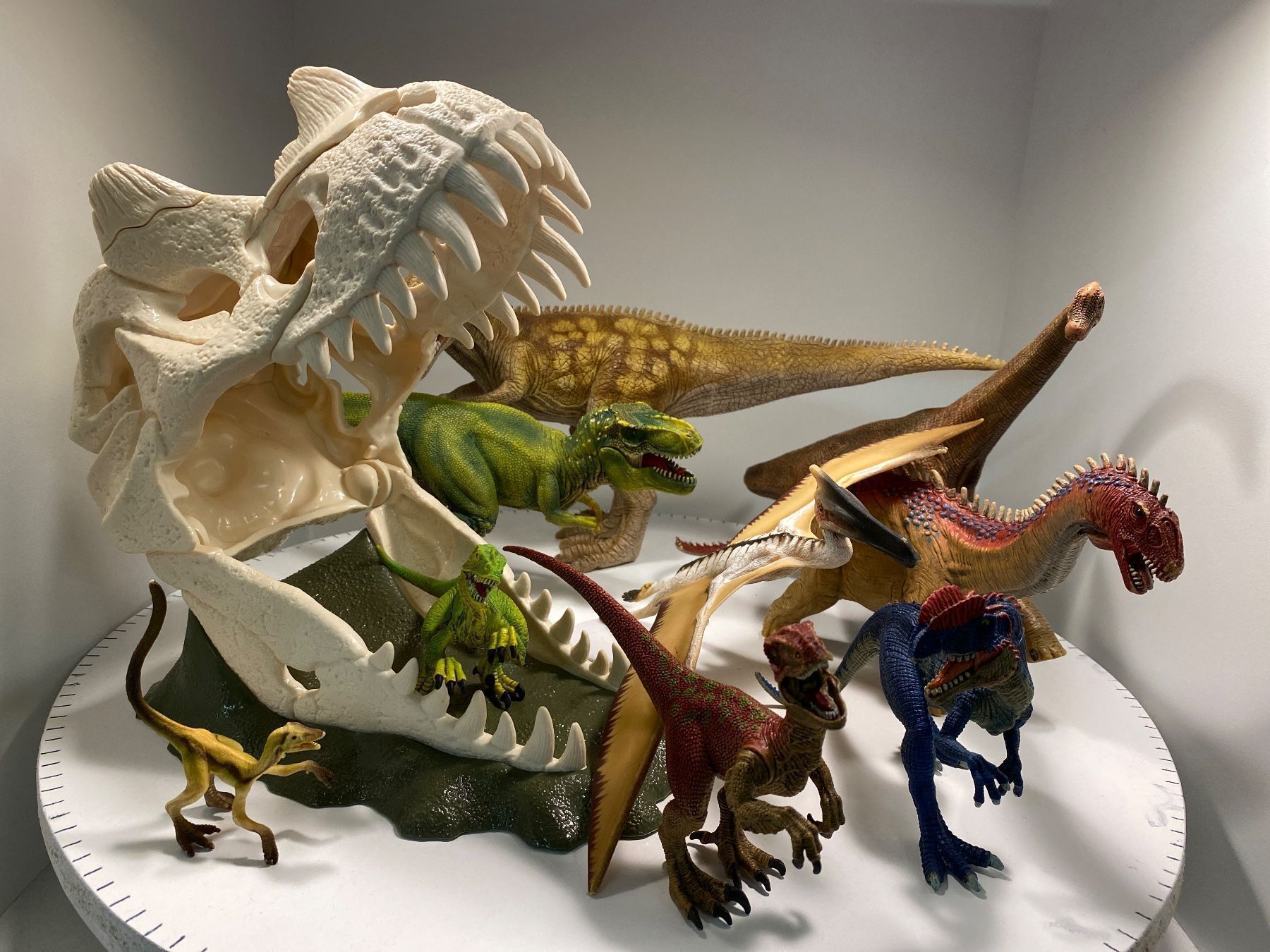 Schleich Statuette: Schleich Dinos Set mit Schädelfalle – Usato da Ossingen venduto da figurina 1