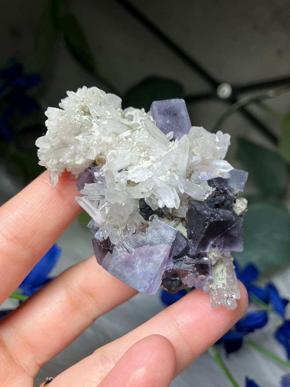 Minerali & Pietre curative: Blauer Fluorit mit Quarzcluster – Usato da Neuheim venduto da m.hald 1