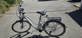 Flyer E-Bike  sehr guter Zustand, Akku muss ersetzt werden