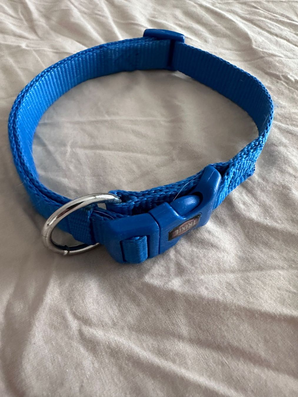 Guinzagli & Collari: Hundehalsband Blau – Usato da Lenzburg venduto da Focus_92