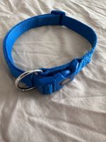 Hundehalsband Blau