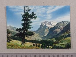 Grindelwald, Wetterhorn
