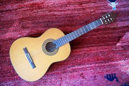 Guitare classique Walden Natura N740 new