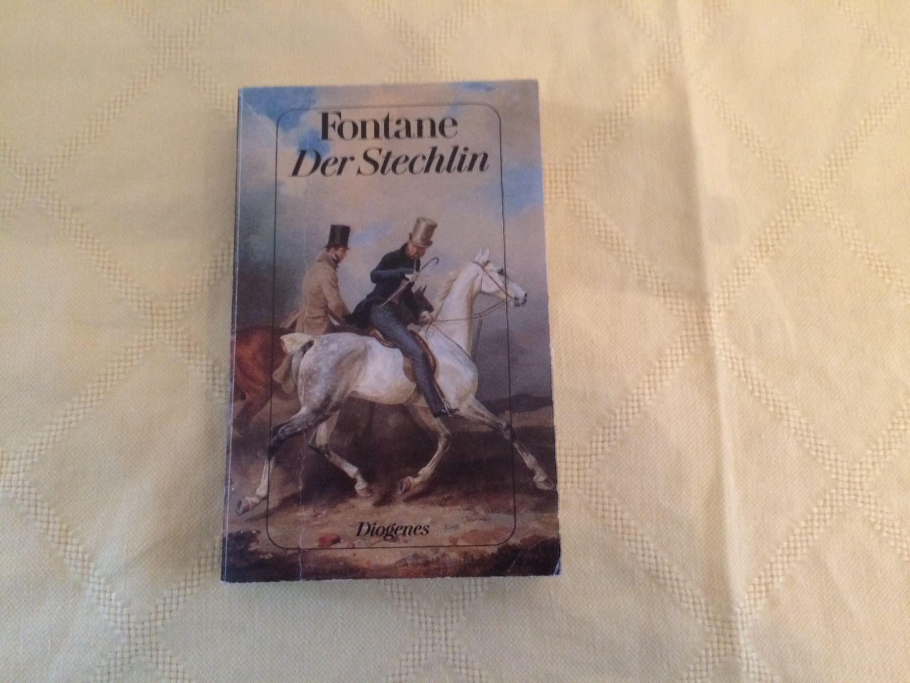 Libri: Theodor Fontane - DER STECHLIN,TB 493 S. – Usato da Buchs AG venduto da ReaNaTsch