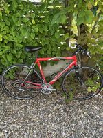 Rennrad Carbon Viner Competition mit geradem lenker