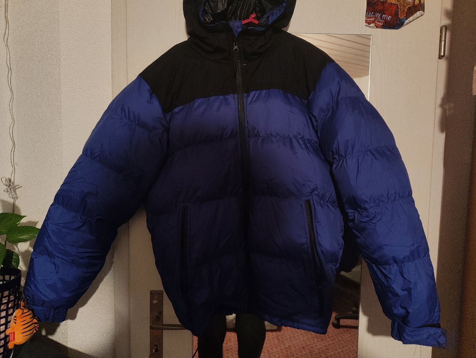 Cappotti: Winterjacke (North Face ähnlich) – Usato da Derendingen venduto da rob_wdn7 1