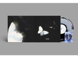 "Dalliance" LP von Chase Atlantic