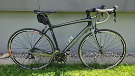 TREK Domane 4.3 Rennvelo