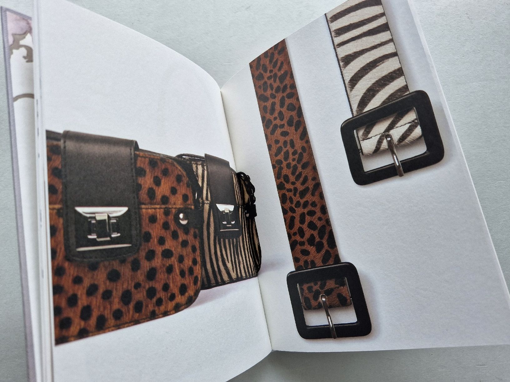 Libri: Kate Moss  Mango Touch.  Premium Accessoires Buch Rar – Nuovo (secondo la descrizione) da Zürich venduto da Secretariat11 1