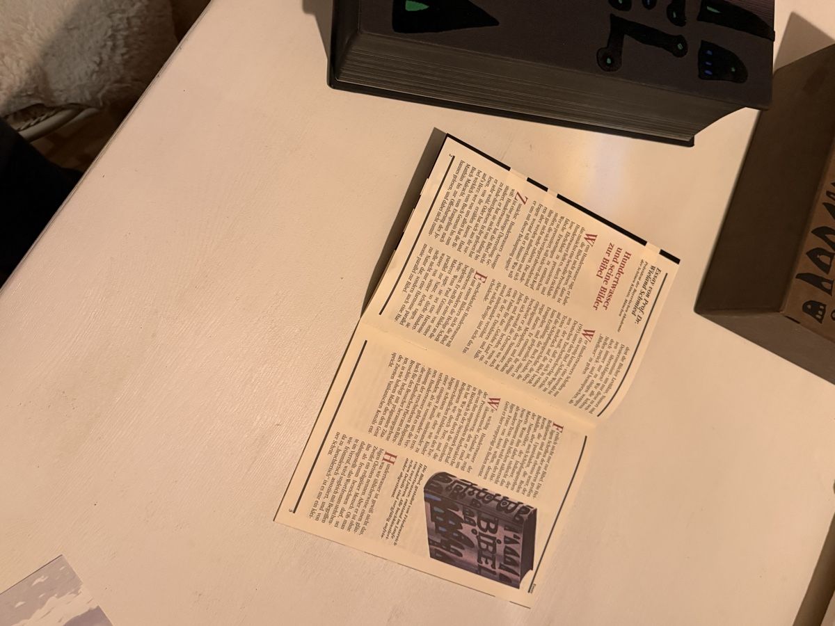 Libri: Bibel Hundertwasser 1995 – Usato da Lobsigen venduto da Ailujailuj 8
