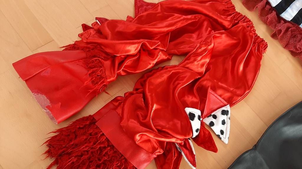 Costumes: Fasnachtskleid Kind – D'occasion à Kriens par honig01 3