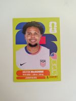 Panini Sticker WM 2026 | USA 10