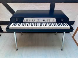 Waldorf Zarenbourg (inkl. Custom-Flight-Case, Concert Cover)