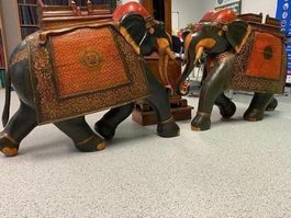 Asiatische Orientalische Elephant Elefant Indisch Indien