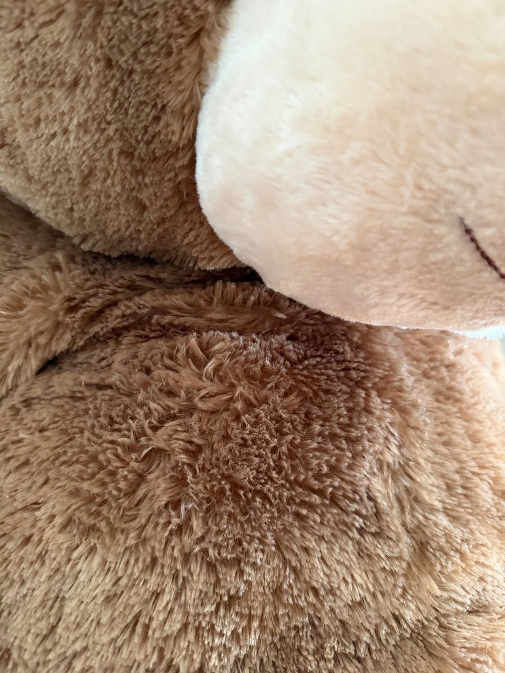 Spielzeuge: Riesiger Teddybär (1m20) – Gebraucht aus Ebmatingen von rud_t6wz 3