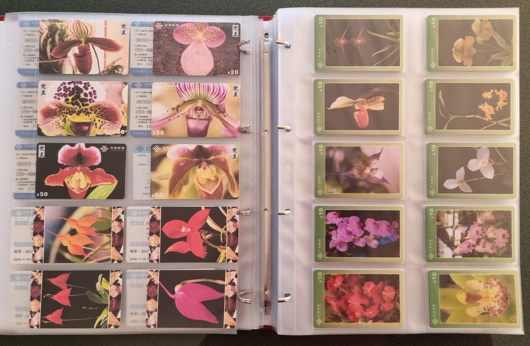 Album: Album 1 Telefonkarten Orchideen – Usato da Lostorf venduto da Dalbi 4