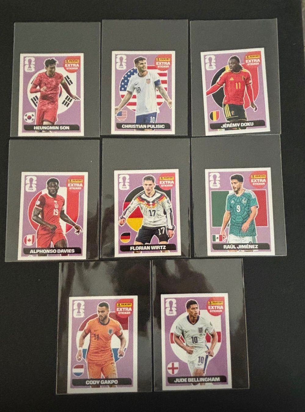 Panini Carte collezionabili: Panini Selten Extra Sticker Sammlung – Usato da Zürich venduto da Yvo619 6
