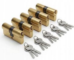 5 Schlosszylinder Grösse: 30/30 mit Ein-Schlüssel-Türsystem