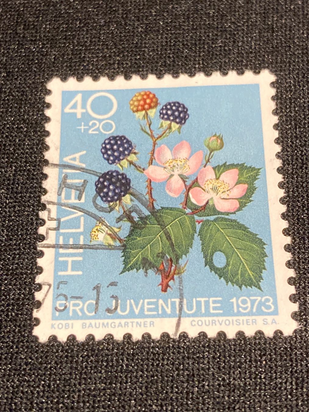 Tutti i francobolli: Brombeere ZNr. J246- 1973 Stempel Chur – Usato da Reinach BL venduto da RetroGamesSportsMore