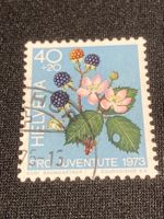 Brombeere ZNr. J246- 1973 Stempel Chur