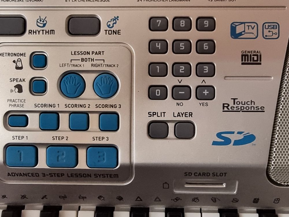 Keyboard Casio LK300TVP mit Mikrofon und Ständer Kaufen auf Ricardo