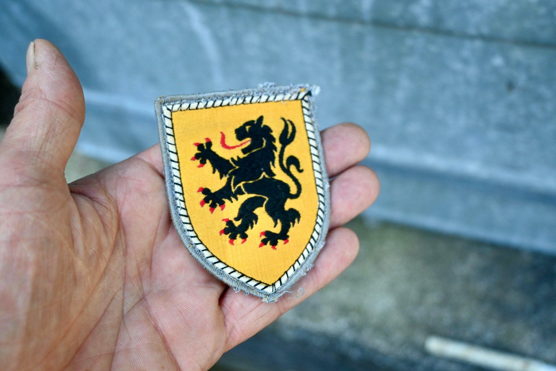 Uniformi: BUNDESWEHR Patch -  10th Panzer Division – Usato da Pfaffhausen venduto da mono_rec 4
