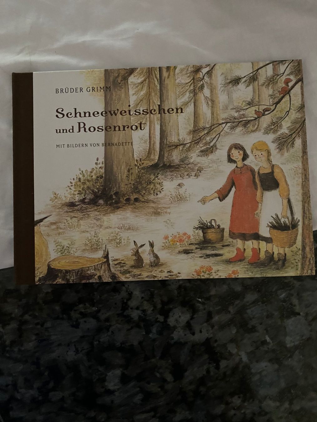 Libri: Schneeweisschen und Rosenrot   Brüder Grimm – Nuovo (secondo la descrizione) da Allenwinden venduto da Obalu