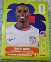 USA 12 Panini FIFA WM 2026
