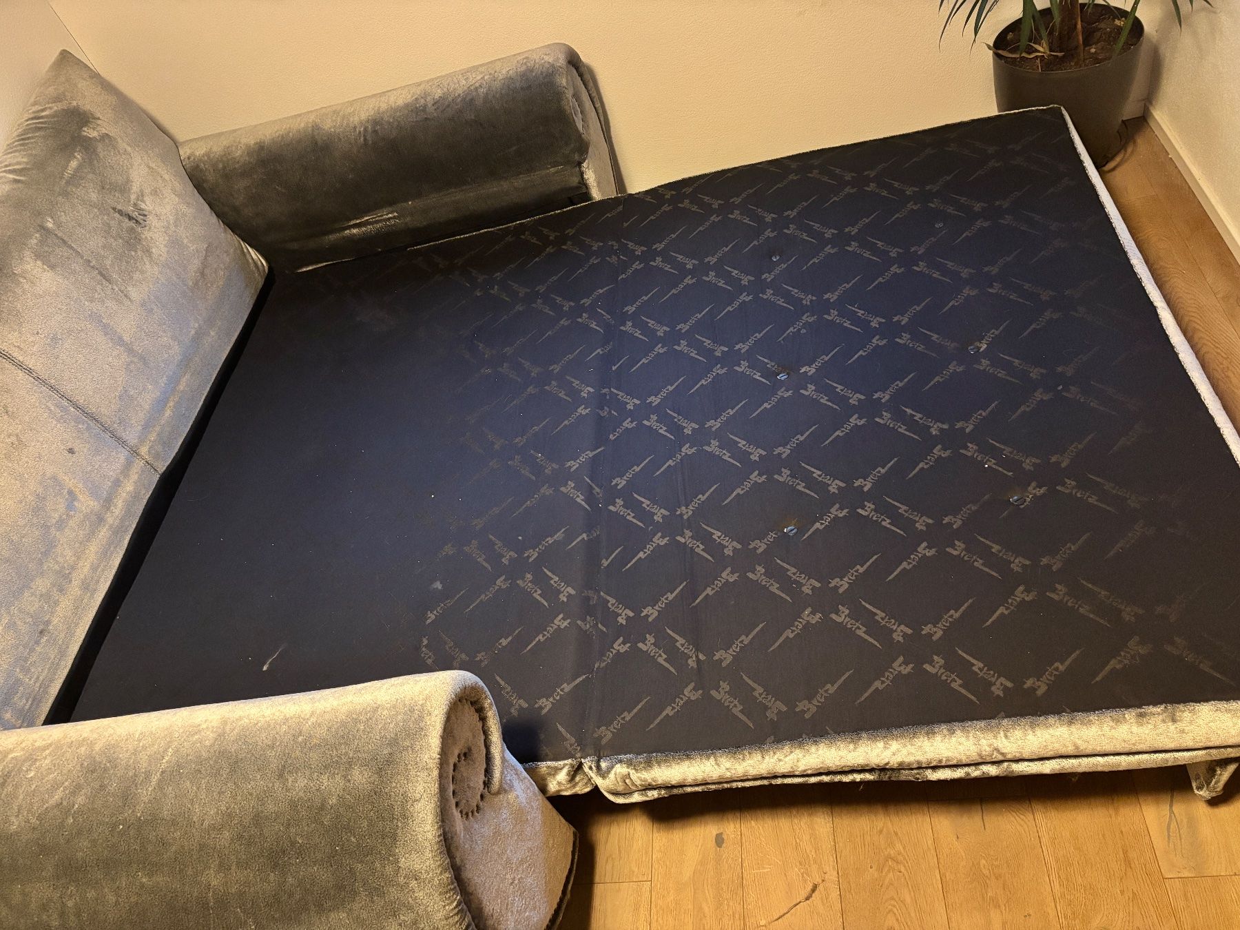 Bretz Divani: Bretz Bettsofa – Usato da Inwil venduto da Seli_Schnellfuss 4