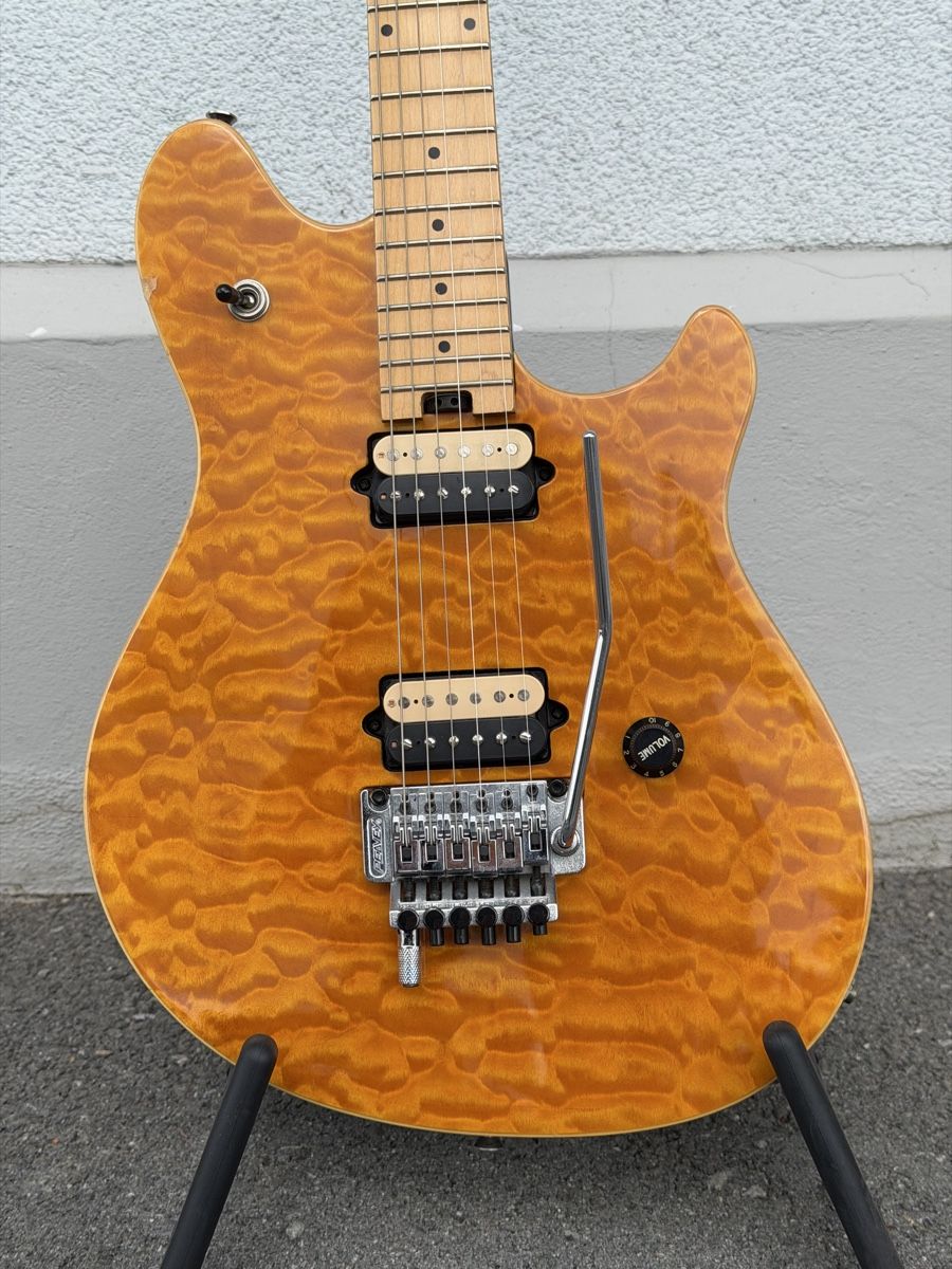 Peavey Strumenti musicali: Peavey Wolfgang Special – Usato da Hauptwil venduto da musikboerse 1