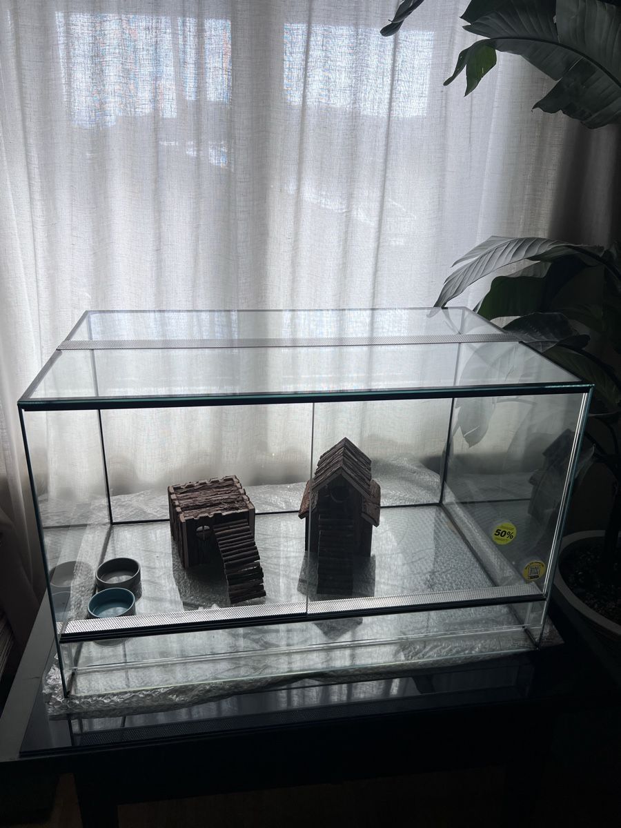 Terrario: Terrarium Neu – Nuovo e nell'imballaggio originale da zürich venduto da marc08 3