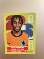 Panini Sticker NED 8