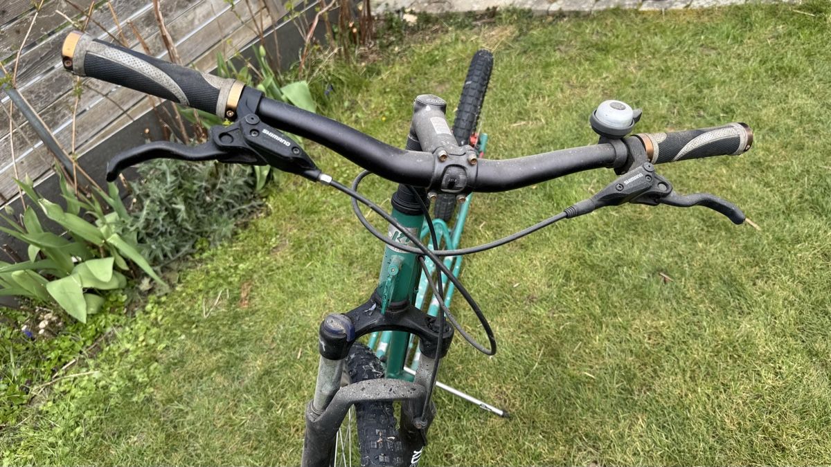 Kickboard: Kostka Dogscooter – Usato da Hunzenschwil venduto da Aluckyluke 1