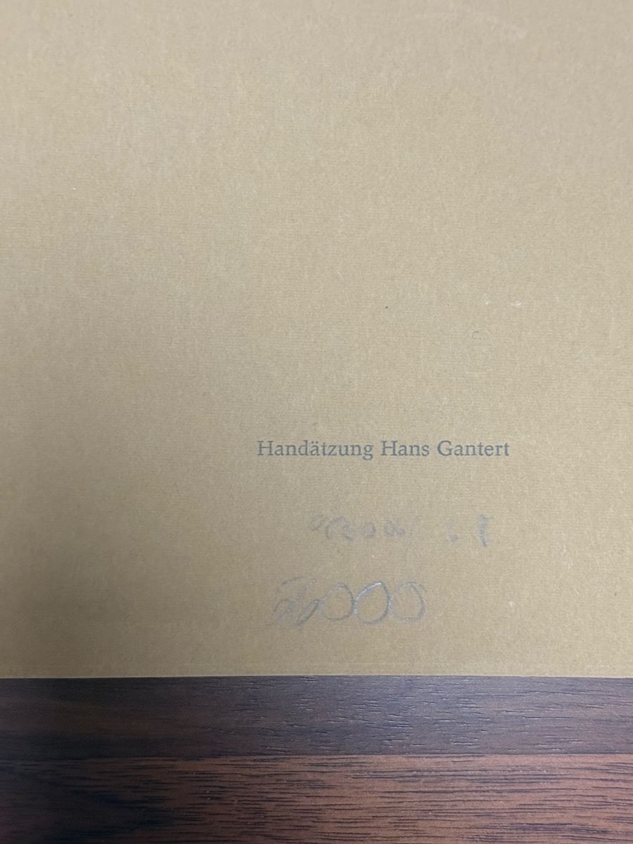 Grafica & Litografie: Hans Gantert - Lithographie – Usato da Solothurn venduto da NUVICO 5