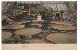 Basel, Botanischer Garten, Seerosen im Victoria-Haus um 1900