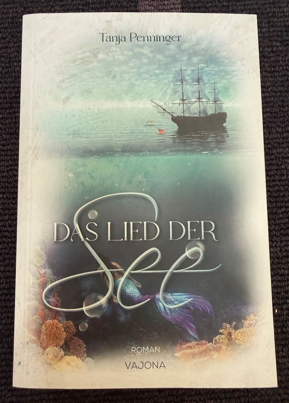 Livres: Roman "Das Lied der See" von Tanja Penninger – D'occasion à Eichberg par Lolapop18